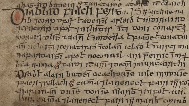 3 Trinity College Dublin MS 1433 E 3 5 The Book of Aicill p 22a fragment