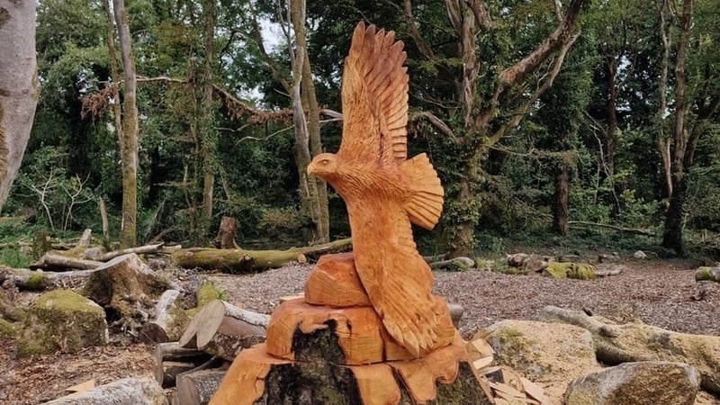 Birds, animals and people have been carved into the remains of trees that were felled during Storm Eowyn