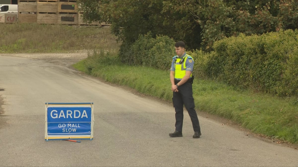 Three family members found dead at home in County Louth