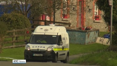 Man, 30s, arrested after three in same family killed in Co Louth