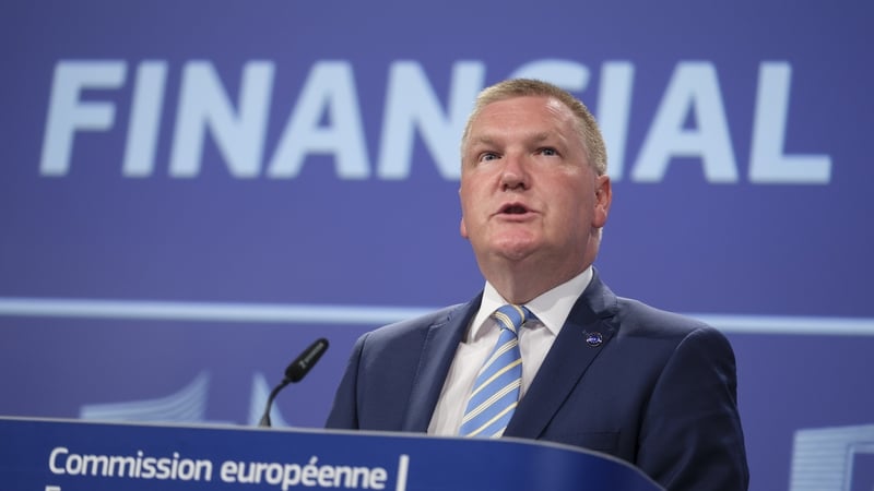 Michael McGrath was speaking at the Warsaw Security Forum, an annual conference on transatlantic and Central and Eastern Europe defence issues (File image)