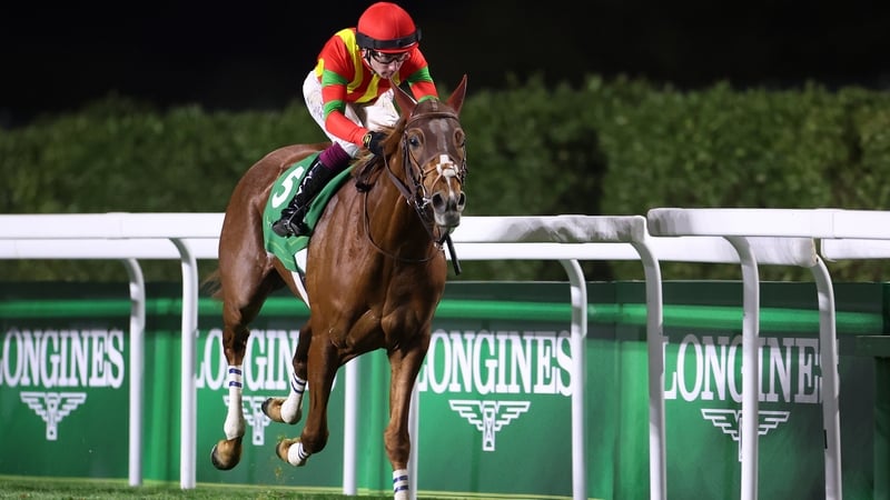 Byzantine Dream has won Group races in Japan, Saudi Arabia and France, but is yet to score at the highest level