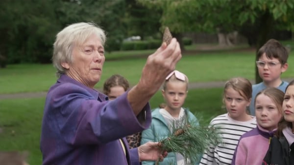 A woman in a purple jacket holds a pine cone as children look on in a park.