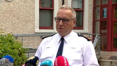 Gardaí not looking for anyone else in connection with Louth murders