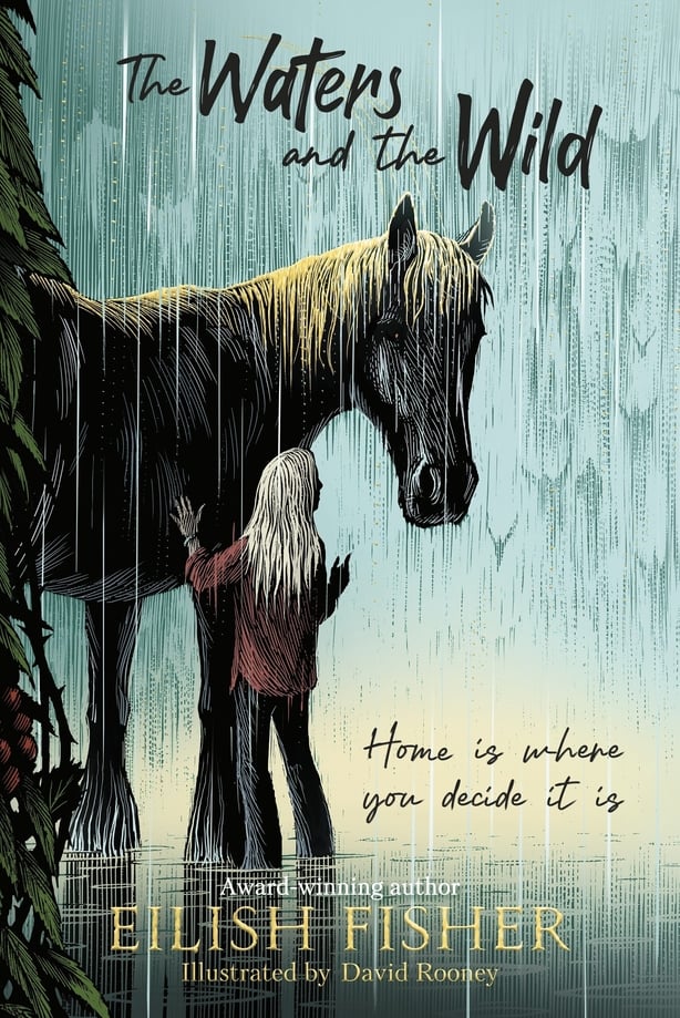 A book cover featuring a drawing of a young girl facing away from us with a horse looking back in the rain
