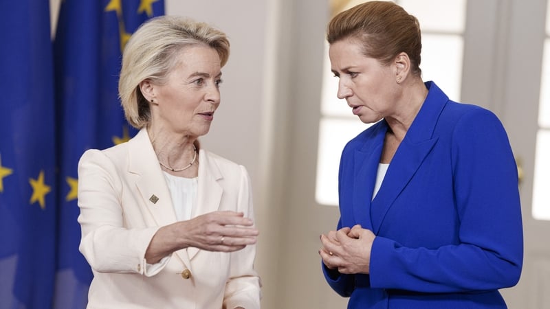 Ursula von der Leyen was greeted by Denmark's Prime Minister Mette Frederiksen at the meeting