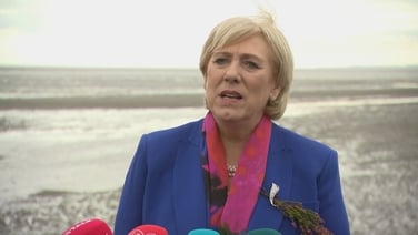 Humphreys says Irish flag is a 'symbol of unity'