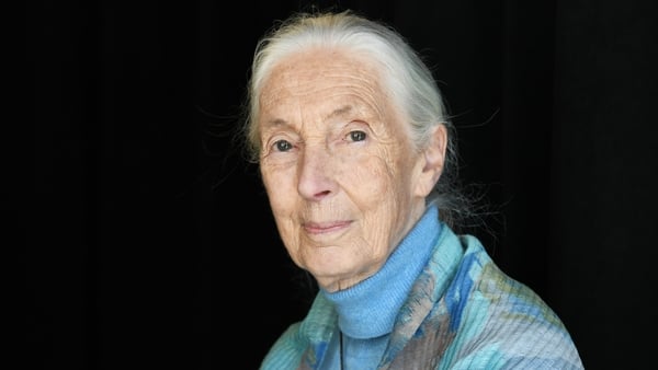 Jane Goodall pictured in 2019
