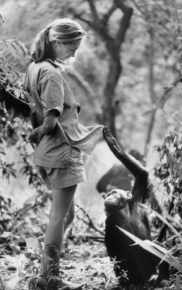 Jane Goodalll