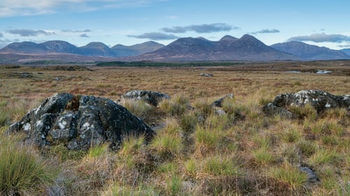The Roundstone Bog in Connemara (Pics: Carsten Krieger)