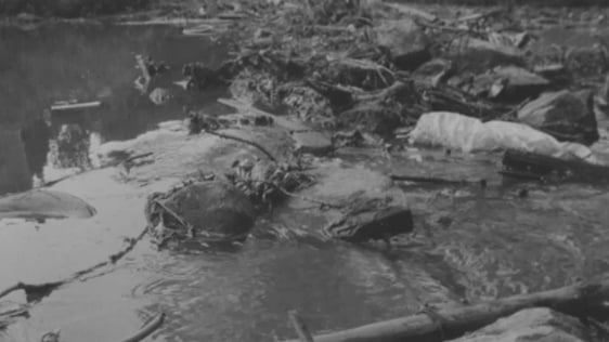 Tackling Tolka Pollution