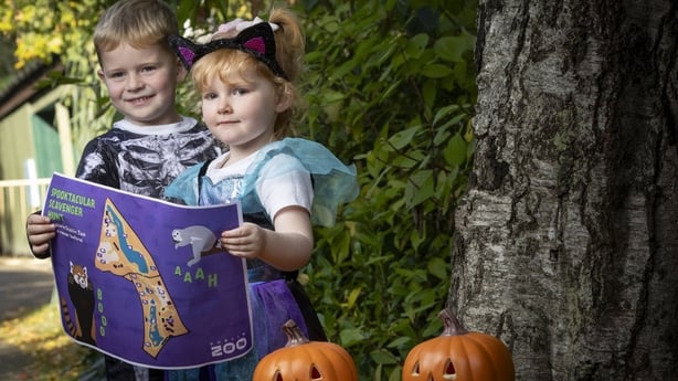 Two kids at Dublin Zoo during Halloween