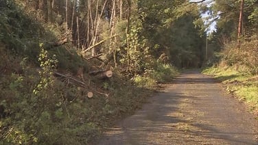 Effects of Storm Amy felt in Ballyshannon, Co Donegal