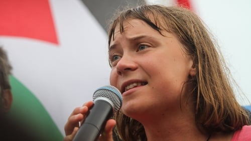 One activist said Greta Thunberg was 'treated terribly' and 'used as propaganda' (file photo)