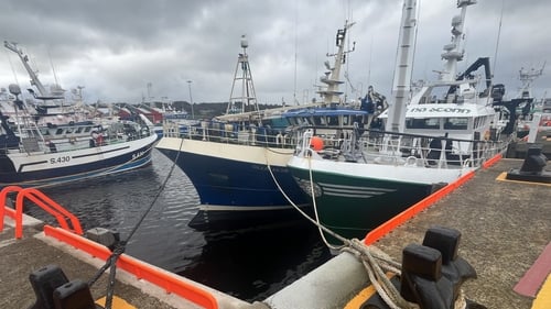 A meeting of the pelagic fishing industry heard the sector was at 'a cliff-edge'