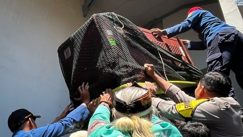 The leopard was captured following a response from multiple agencies this morning