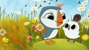 Puffin Rock as Gaeilge: Sraith nua ar an RTÉ Player show image