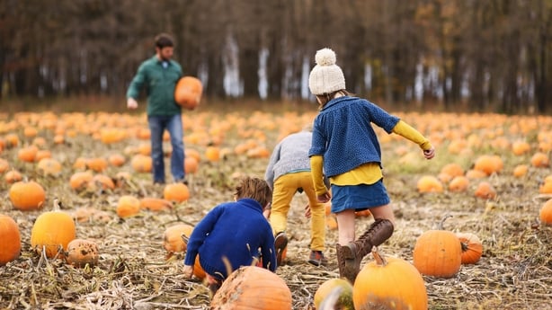 Family picking pumpkins in a pumpkin patch