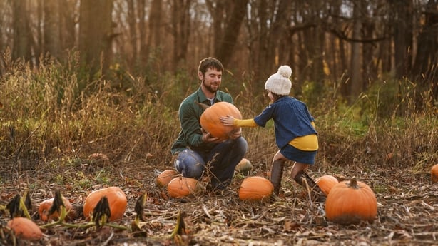 Young girl and father carrying pumpkins in a pumpkin patch