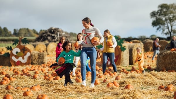 Wide view of two mothers with their children picking pumpkins for Halloween at a pumpkin patch field in Newcastle, England on a nice day in October. The kids are dressed up in Halloween outfits.