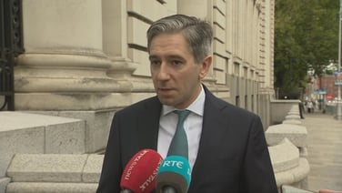 Watch: Budget 2026 will ‘protect jobs’ says Tánaiste