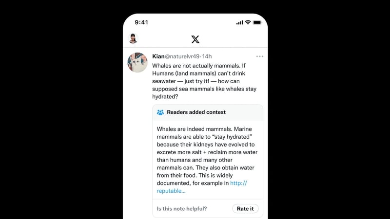 A 'community note' is a small text box appended to a post that X users have suggested needs additional context. Photo: X