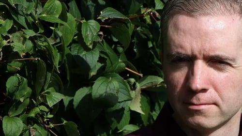 Peter McCauley, writer