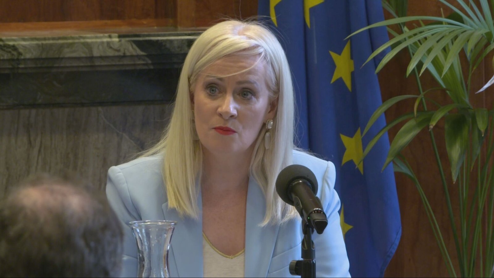 Irish, EU laws broken on AI child abuse images - minister