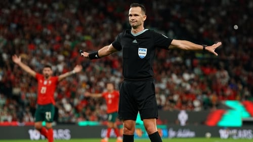 The Ireland manager was not too happy with referee Ivan Kruzliak's overall performance