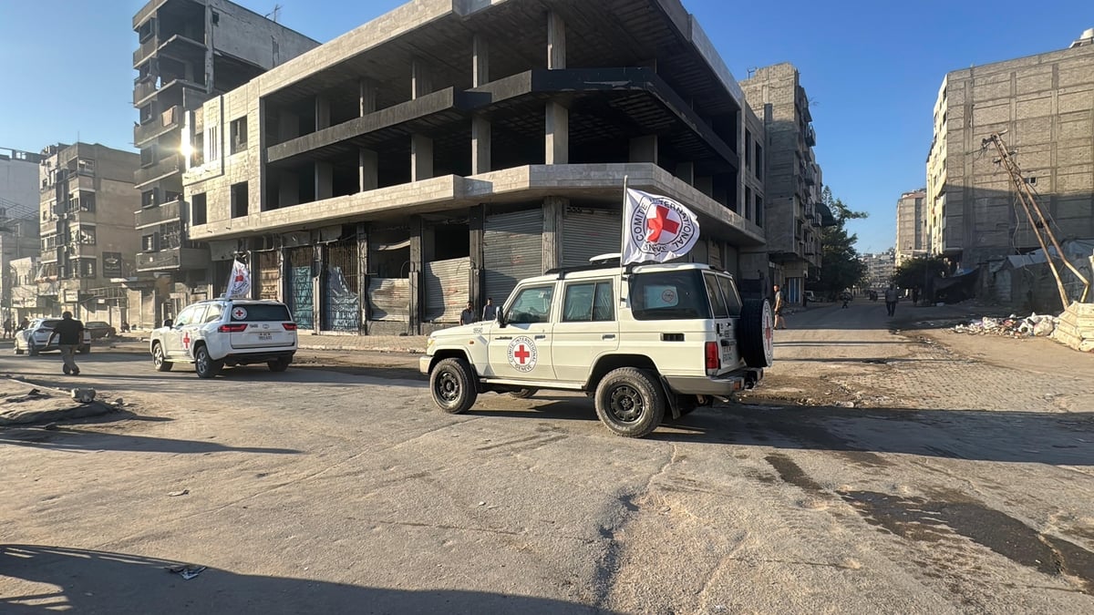 Ceasefire holds but is aid getting to Gaza and what will happen next?