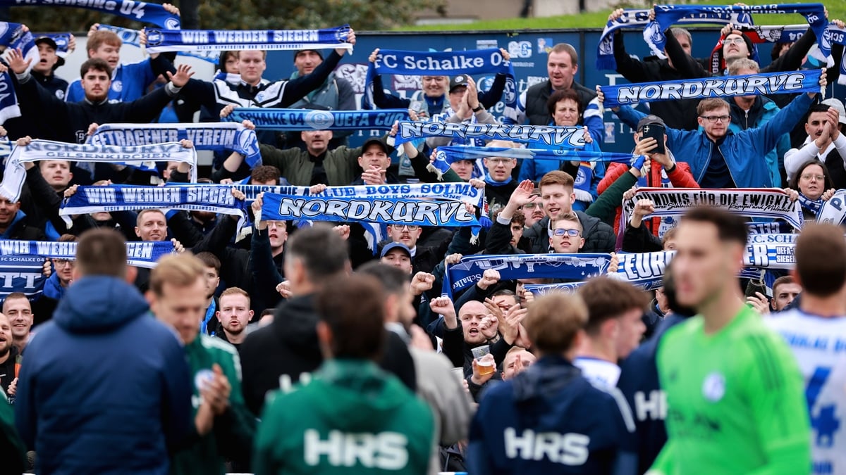 Photographer assaulted by FC Schalke 04 fans in Dublin
