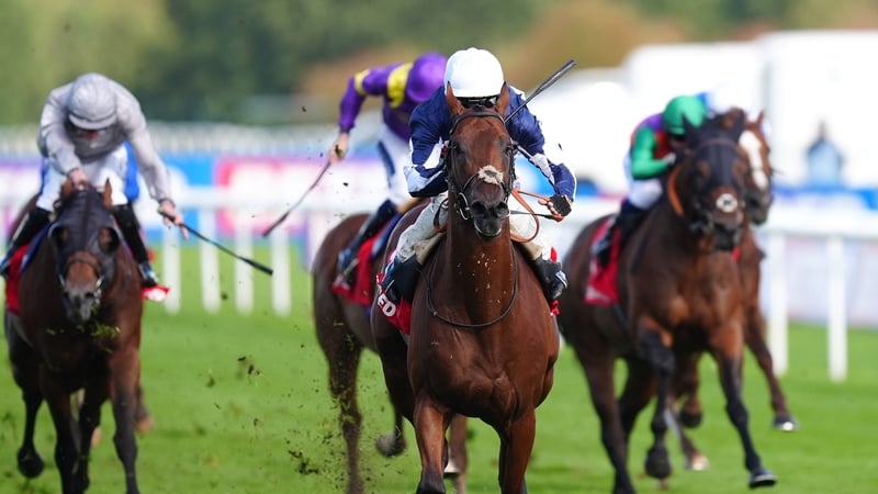 Marvelman, a winner of the Park Stakes at Doncaster last time out, has been added to the Queen Elizabeth II Stakes field