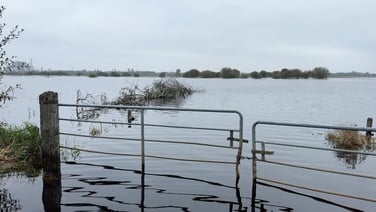 Farmers struggling with ‘shocking’ Shannon flooding