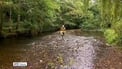 Quality of surface water continues to decline, says EPA Quality of surface water continues to decline, says EPA