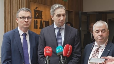 Harris says Government responding as they always do to no confidence motion