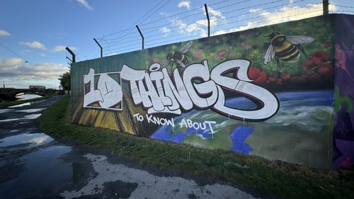 10 Things to Know About