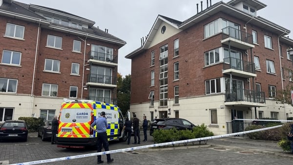 Members of the Garda Technical Bureau at the scene of a boy's death in Donaghmeda in Dublin