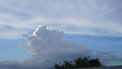 Weather Forecast