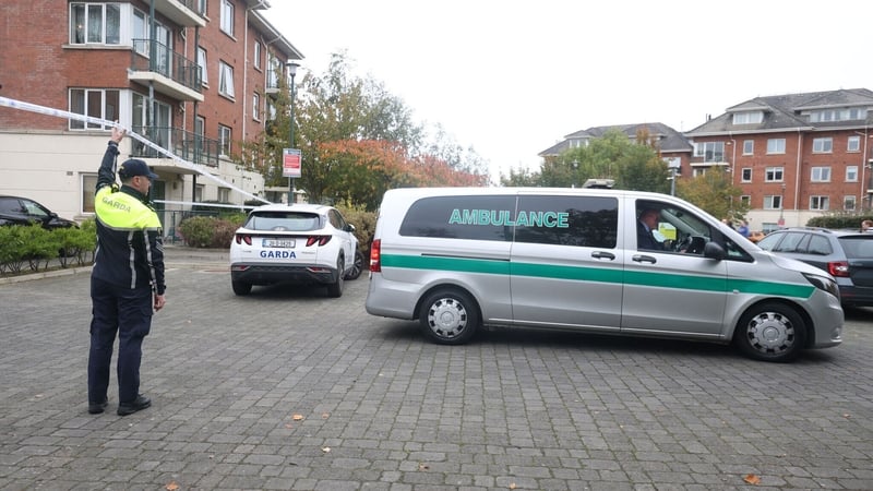 Vadym Davydenko was stabbed to death at an emergency residential unit in Donaghmede