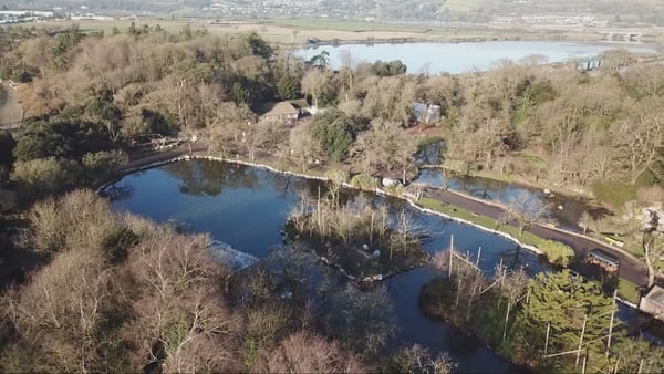 An Aerial View of Fota