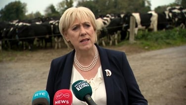 Humphreys not discouraged by polls