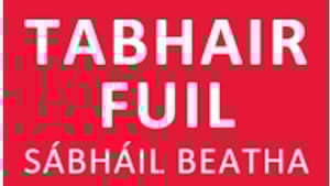 Gobnait Ní Chrualaoi show image