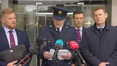 No person should have to endure such an ordeal, says garda after Niland case