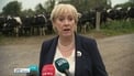 Paul Murphy suing Heather Humphreys for defamation Paul Murphy suing Heather Humphreys for defamation