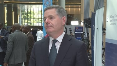 Donohoe says China's restrictions on rare earths could create shock to global economy
