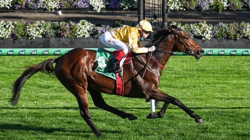 Sir Delius has won three of his four starts since moving Down Under, including a pair of Group One victories