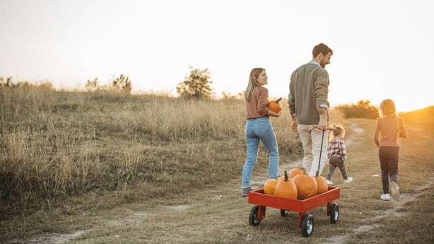 Young family pulling cart with pumpkins, coming home after pumpkin harvesting. They are having fun with kids