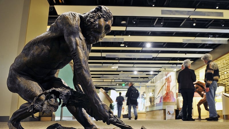 A life-sized bronze sculpture in the Smithsonian Museum of Natural History depicts a Paranthropus boisei (file image)