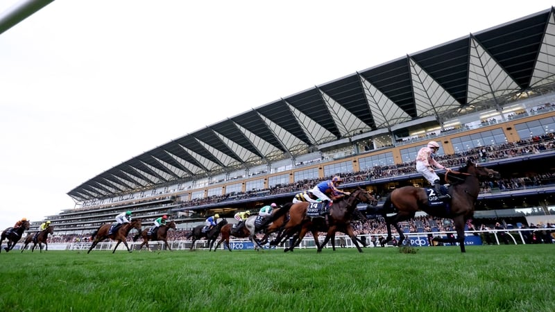 Jason Watson stands up in his irons after his victory on Cicero's Gift