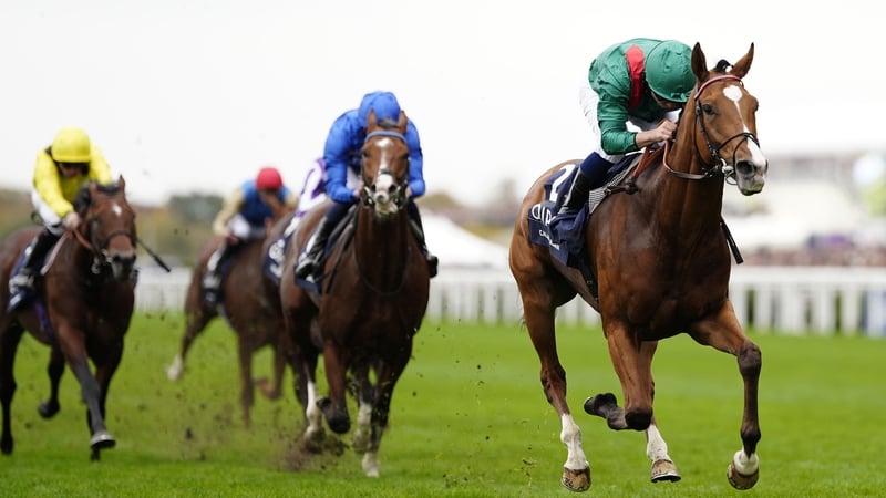 Calandagan's record at Ascot reads 1211